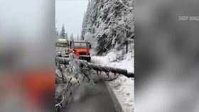 VIDEO Vremea este extremă în România. De la ninsori s-a ajuns la ploi puternice